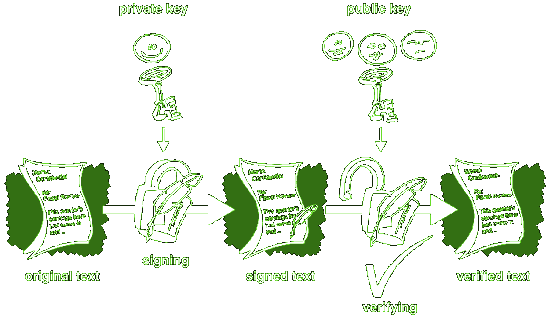 come firmare con PGP