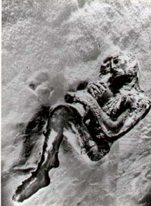 sale2.jpg - 16944,0 K