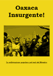 Oaxaca Insurgente