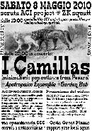 8 maggio camillas a zk