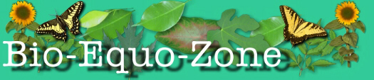 Bio-Equo-Zone : gruppo d'acquisto del C.P.I. Zona Rischio, Punto di divulgazione ed informazione biologica